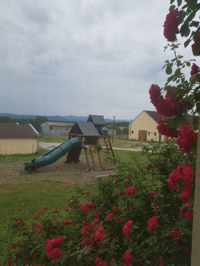 Bio Farma & Penzion Zlaty Hyl Novacany Eksteriør billede