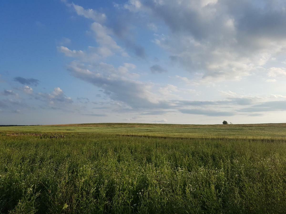 Bio Farma & Penzion Zlaty Hyl Novacany Eksteriør billede